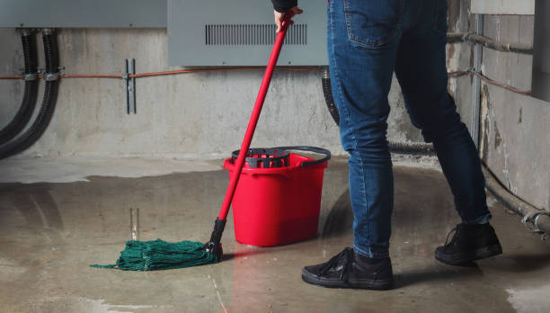 Best Mold removal after water damage  in North Decatur, GA