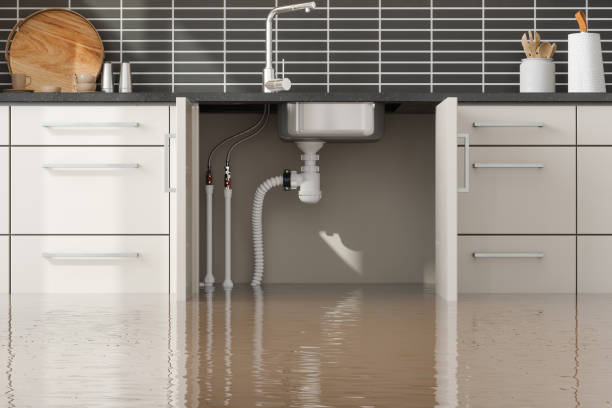 Best Water damage mitigation services  in North Decatur, GA